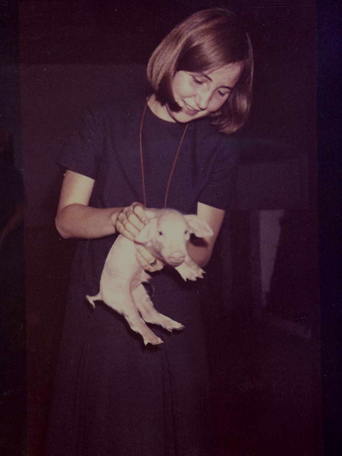 65a002b 65Ferkel001b