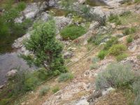 db_DSCN0885_-_Kopie1